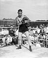 Harry Greb posing