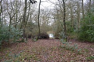 Hertford Heath north 6