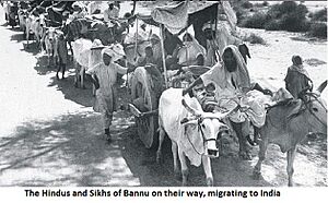 Hindus and Sikhs Migration to India