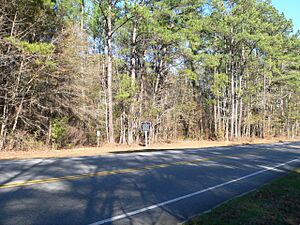 Honey Hill historical marker SC Hwy 336