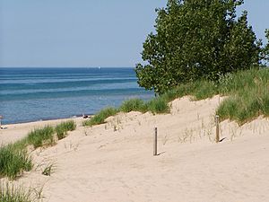 Indiana Dunes National Lakeshore