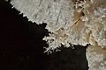 Jewel Cave 3