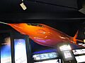 Kansas Cosmosphere Right Stuff Glamorous Glennis Replica 2013
