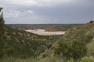 Little Red River Valley Hall County Texas