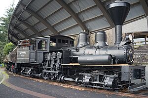 Locomotive "Peggy" at the World Forestry Center-Discovery Museum in Washington Park, Oregon - November 2014 - 01