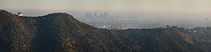 Los Angeles from Hollywood Hills