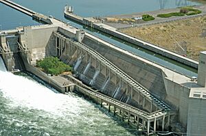 Lower Monumental Dam - a fish ladder (11955632415)