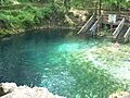 Madison Blue Springs SP spring01