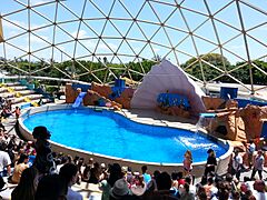 MiamiSeaquarium-GoldenDome