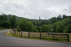 A ranch in Minerva