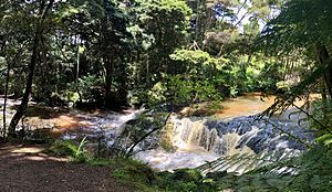 Morrinsville waterfall