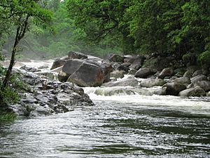 Mossman River during the wet season