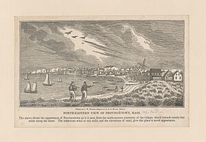 North-eastern view of Provincetown, Mass (NYPL b13512827-420860)