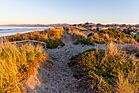 North New Brighton dune beach walk, New Zealand.jpg