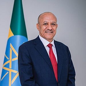 Official Portrait of Temesgen Tiruneh.jpg