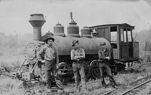 Oregon Iron and Steel Narrow Gauge Railroad