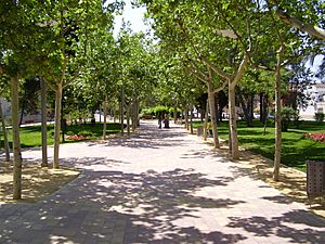 Parque de la Constitución de Las Torres de Cotillas