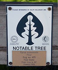 Pear tree sign