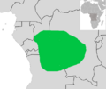 Phedinabrazzae