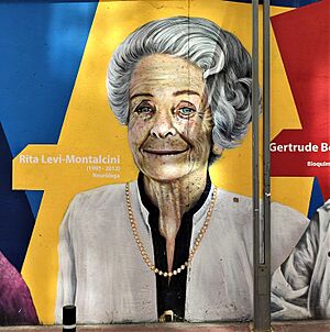 Pioneres Rita Levi-Montalcini