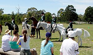 Pony Club