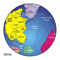 Positions of ancient continents, 550 million years ago