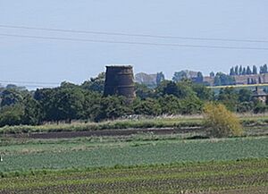 Ramsey St Mary's mill-geograph.org-3485074