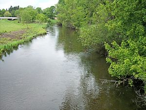 Redeye River