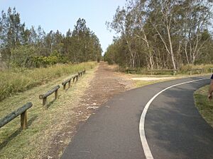 Remnants of Cribb Island Road on Jim Soorley Bikeway - panoramio