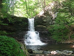 Ricketts Glen State Park Sheldon Reynolds Falls 2