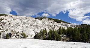 Roaring Mountain YNP1