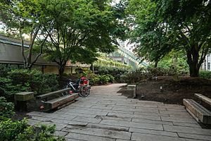 Robson Square Garden pathway 2018