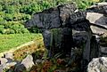 Rock outcrop on Gibbet Moor - geograph.org.uk - 554004