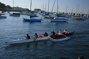 Rowers in Monterey Bay