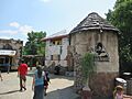 Sedgwick County Zoo Gorilla Village 2013