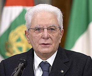Sergio Mattarella 29 January 2022 (rectangle)