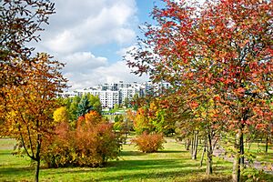 Sosnowiec, Osiedle Środula widziane z Parku Środula, jesień 2021 -03