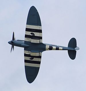 Spitfire mark19 ps853 planform arp