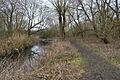 Stanborough Reedmarsh and River Lea 3