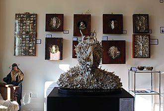 The Dunedin Museum of Natural Mystery in Dunedin - Gallery (2019)