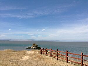 The picnic area at China Camp in San Rafael looking out at Island