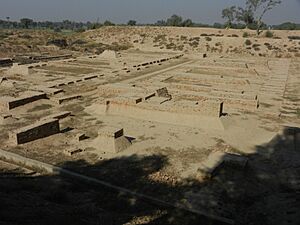 View of Granary and Great Hall on Mound F - Archaeological site of Harappa