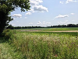 View of Green Pond Marsh looking southeast from Green Pond Road on July 31, 2014