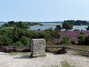 Viewpoint on the RSPB Arne reserve - geograph.org.uk - 1445832.jpg
