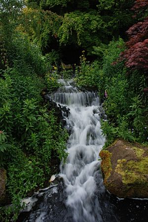 Waterfall, Edinburgh Botanical Garden