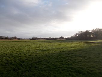 Waveney meadows east from Shipmeadow toward Barsham, Suffolk