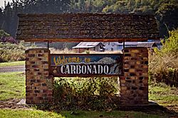 Welcome sign in Carbonado