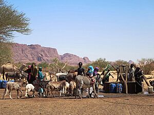 Well of the Young Girls in the Ennedi Mountains - northeastern Chad 2015