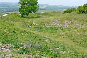 Workings at Cissbury Ring - geograph.org.uk - 1326767