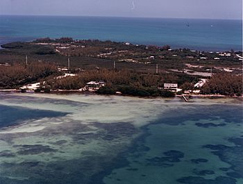 Aerial photographs of Florida MM00034627x (8408793863).jpg